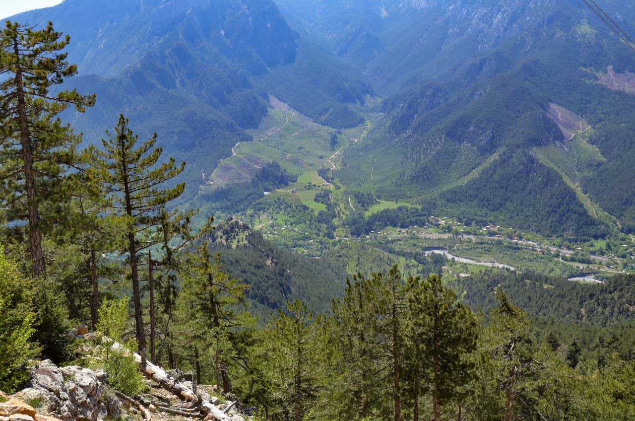 An aerial view of the Taurus Mountains, with trees visible in the foreground.