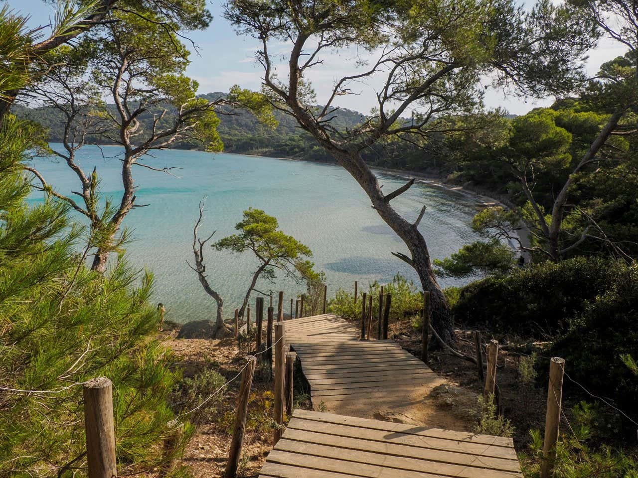 Vue sur la plage Notre-Dame, sur l'île de Porquerolles, depuis des escaliers en bois sous les pins, paysage typique méditerranéen, l'une des plus belles plages de France