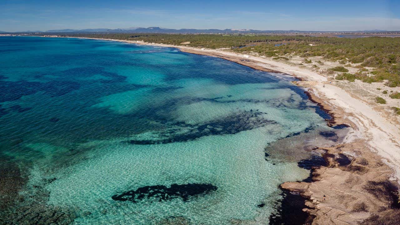 Vue aérienne sur l'immense plage d'Es Trenc, avec ses eaux turquoise ; il s'agit de l'une des plus belles plages de Majorque et des Baléares