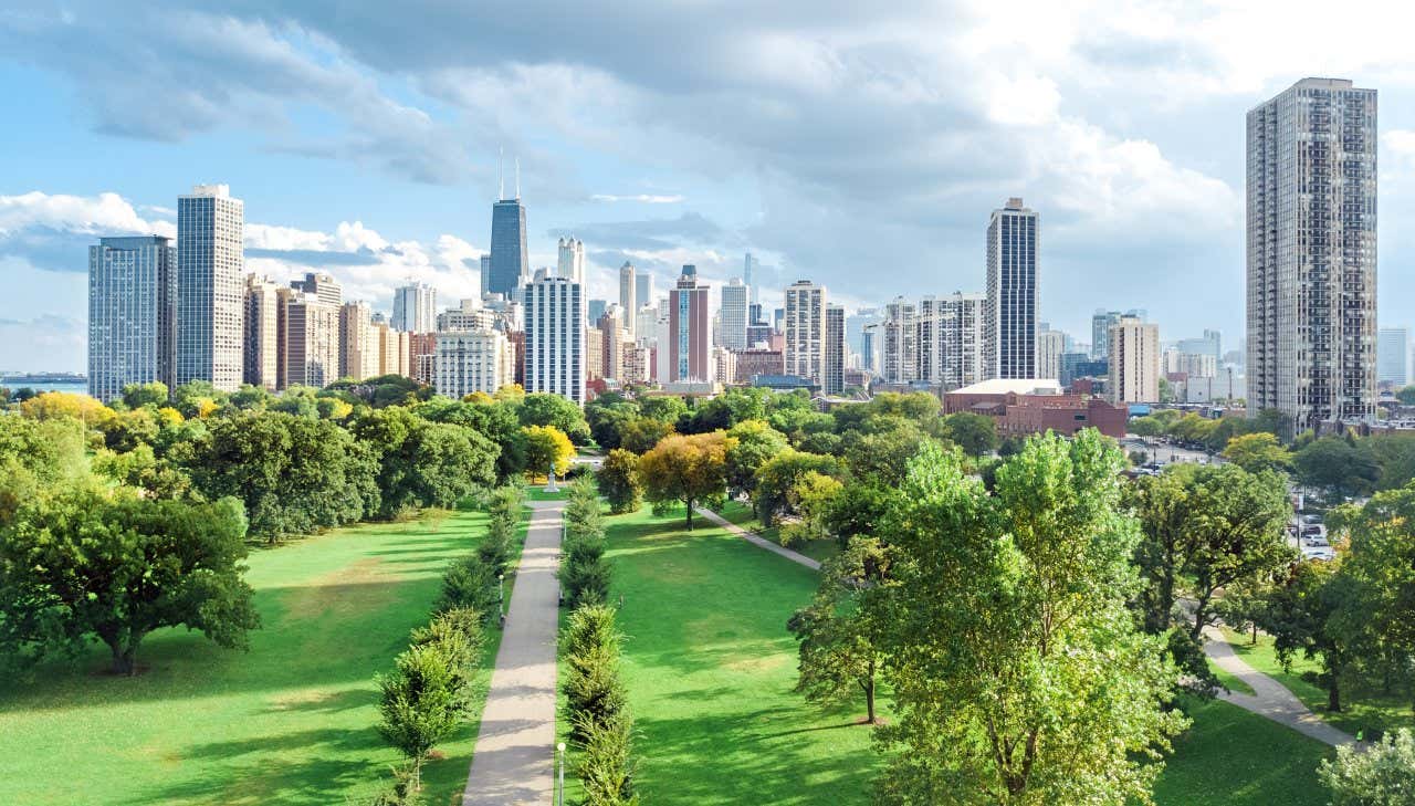 Vue panoramique sur les gratte-ciels de Chicago depuis un parc avec des arbres par temps nuageux