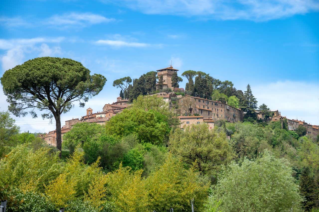 Una collina boschiva con alcuni edifici antichi che emergono dalle fronte, in cima al colle si vede un'alta torre in pietra in un giorno di sole