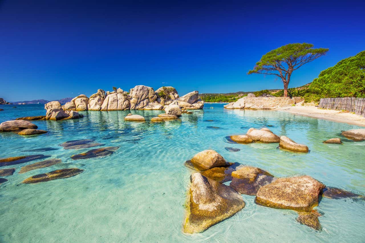 Le célèbre fin de la plage de Palombaggia, en Corse-du-Sud, l'une des plus belles de France