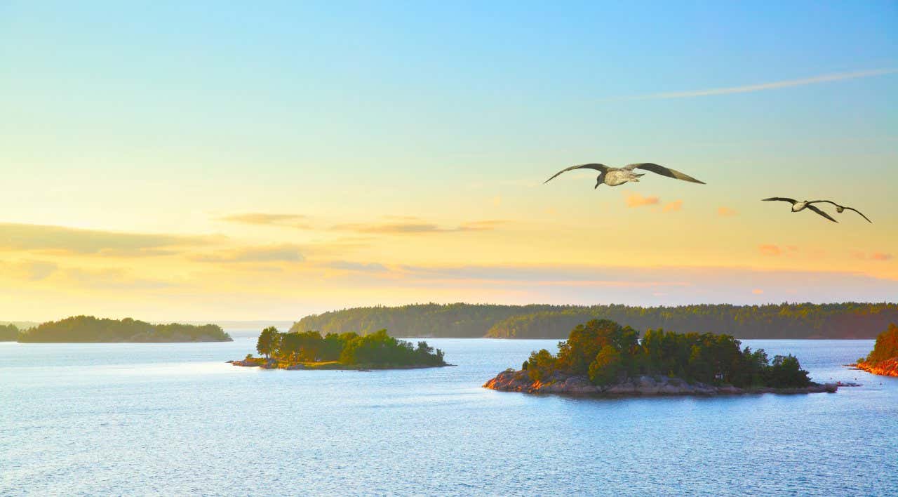 Vue panoramique sur des îlots de l'archipel de Stockholm avec trois oiseaux 