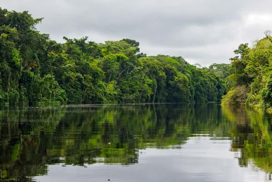 Un río que refleja el cielo y la vegetación en la Pacaya Samiria, en la selva de Perú 