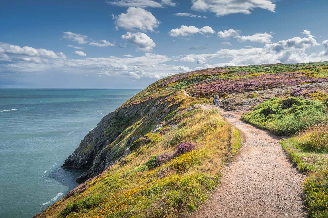 Una persona che cammina di spalle lungo Howth Head, con fiori selvatici lungo il sentiero, un cielo nuvoloso e il mare visibile sullo sfondo