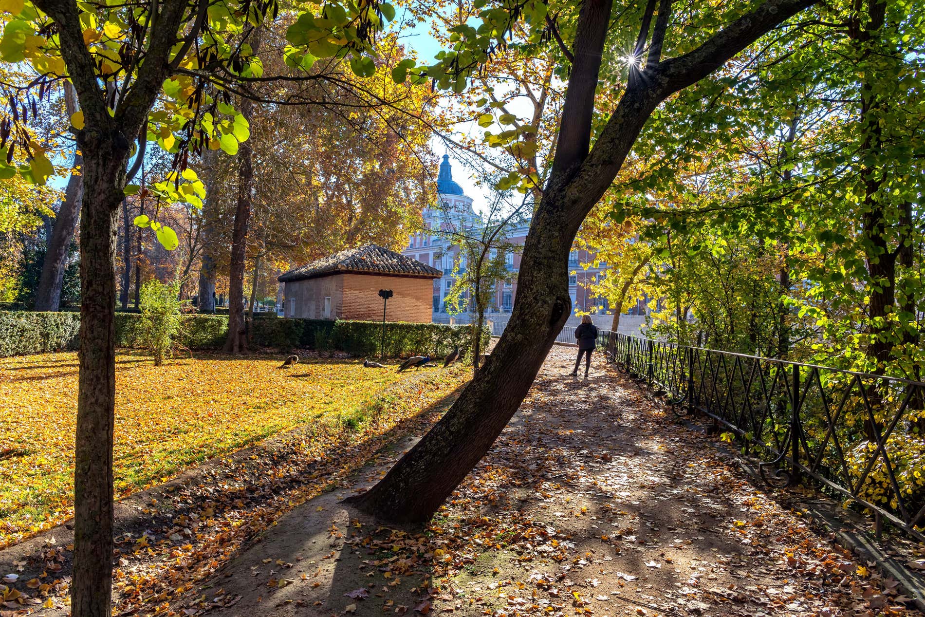 Visita al Giardino del Principe di Aranjuez, un'attività da praticare in autunno nella Sierra di Madrid