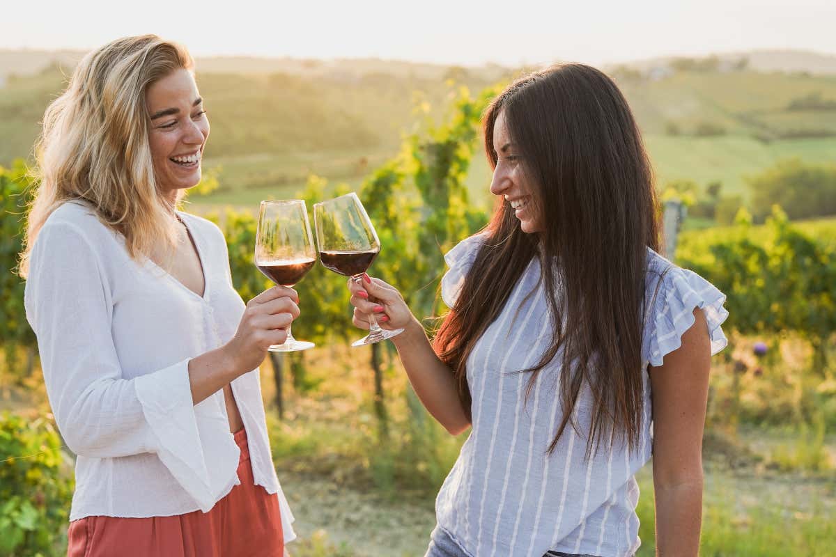 Dos mujeres brindando con copas de vino tinto en un viñedo