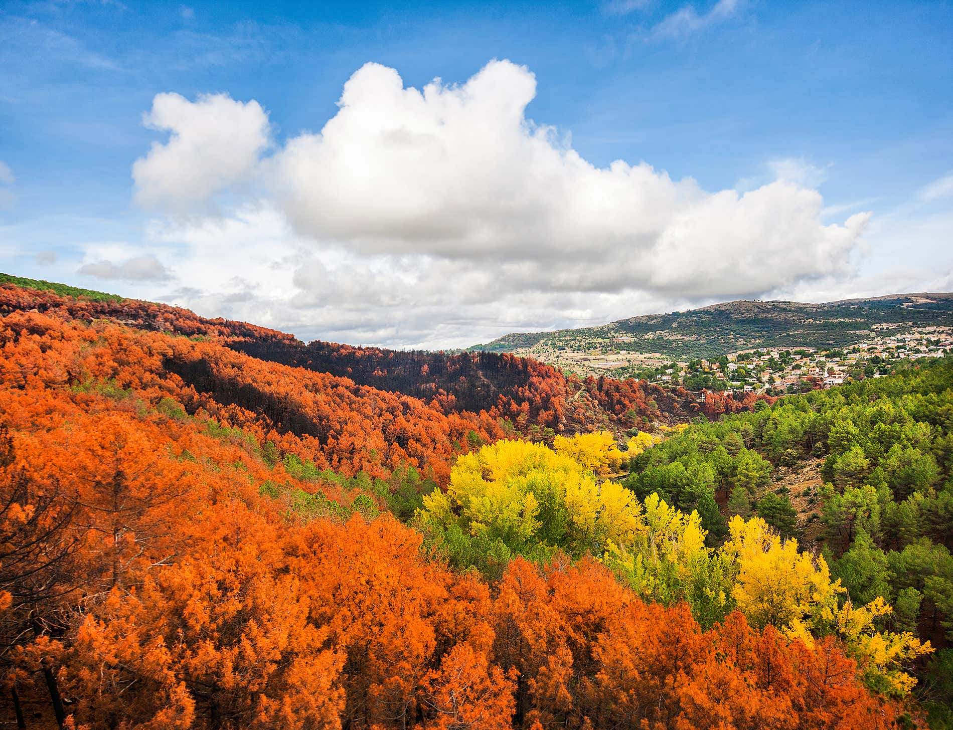 10 attività nella Comunità di Madrid per godersi l’autunno