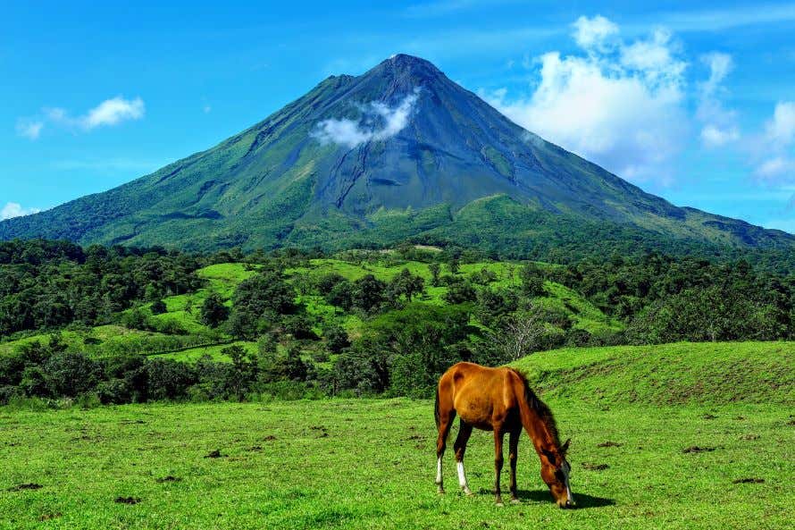 Un cavallo al pascolo in una valle sovrastata dal Vulcano Arenal