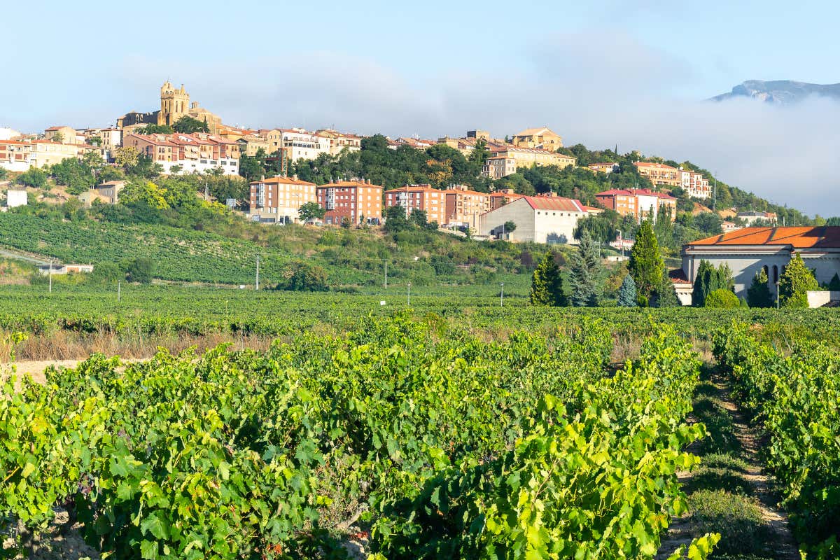 Panorámica de Laguardia, capital vinícola de Rioja Alavesa