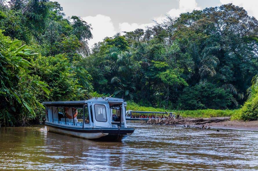 Una barca che naviga tra i canali del Tortuguero in mezzo a una fitta vegetazione.