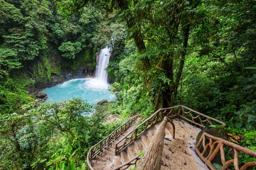 Una cascata che cade in una laguna turchese nel bel mezzo della foresta, con degli scalini di legno che scendono fino alla sua piscina naturale