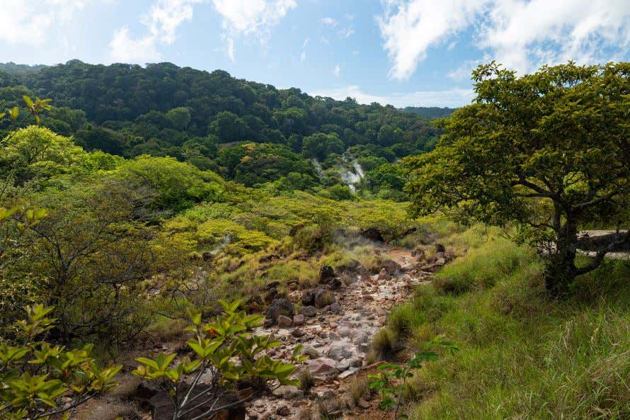 La foresta del Parco Nazionale Rincon de la Vieja con il fiume e il vapore sullo sfondo