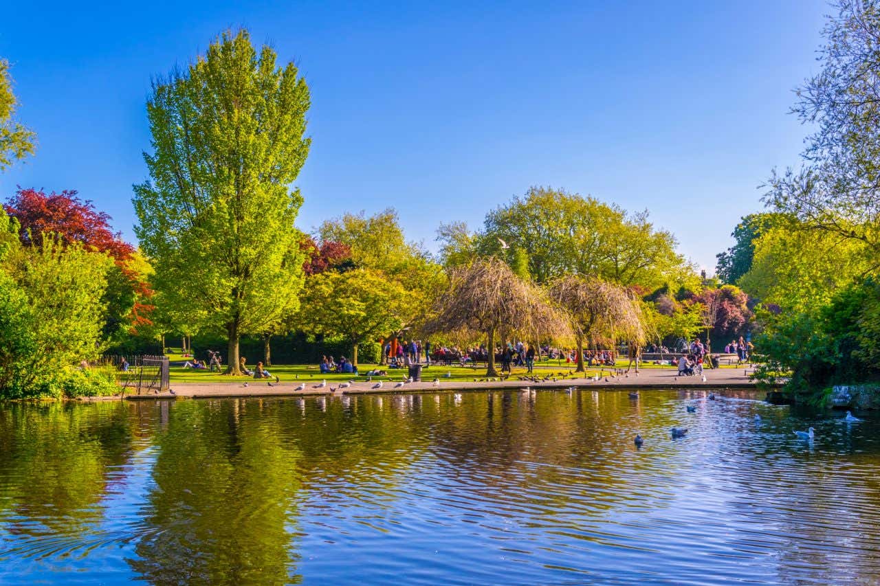 Un lago a St. Stephen's Green con persone sedute sull'erba dall'altra parte della riva e un cielo blu brillante