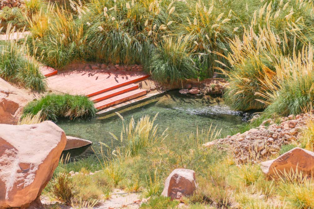 Piscina natural de águas mornas de Puritama entre vegetação e um acesso de madeira para se apoiar