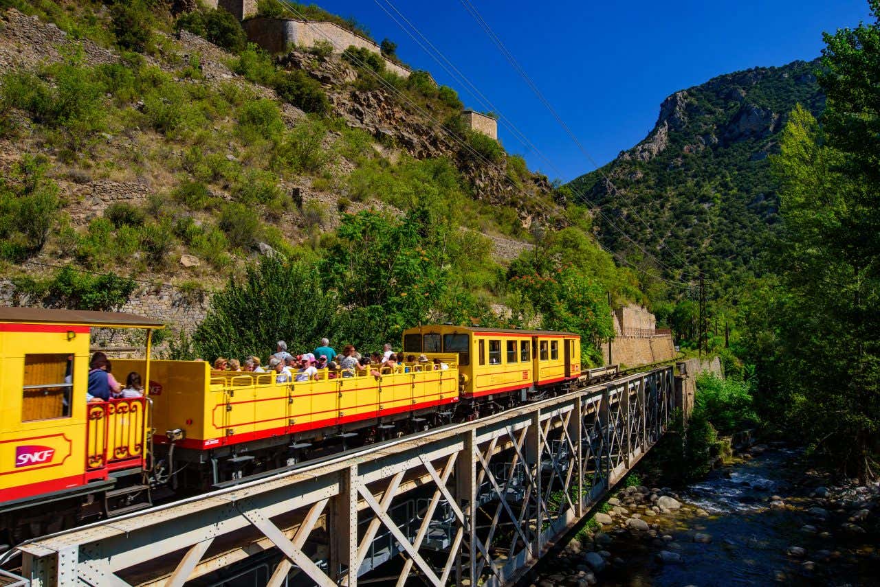 A yellow rackrailway train trimmed with red and full of passengers passes into frame, surrounded by greenery and foliage in France