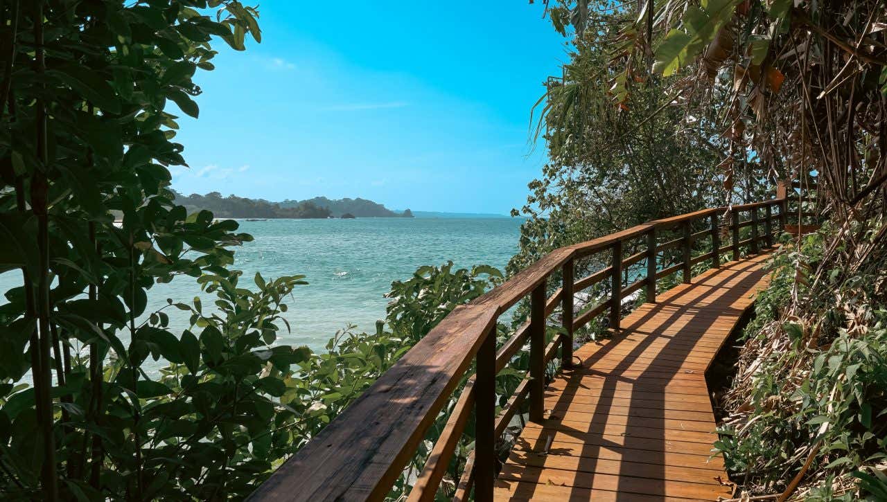 A wooden walkway at Red Frog Beach with a clear blue sky in the background.