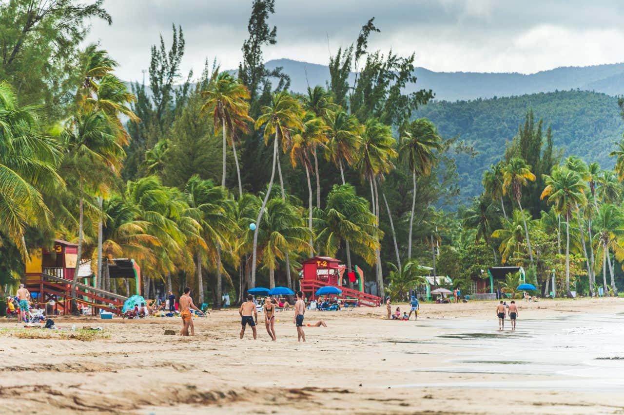 People playing volleyball on a beach, with large trees in the background.