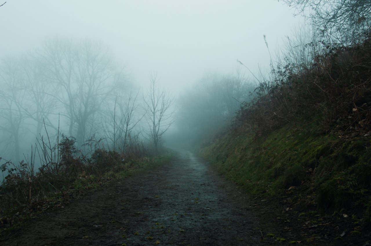 Una strada sterrata di campagna immersa nella nebbia