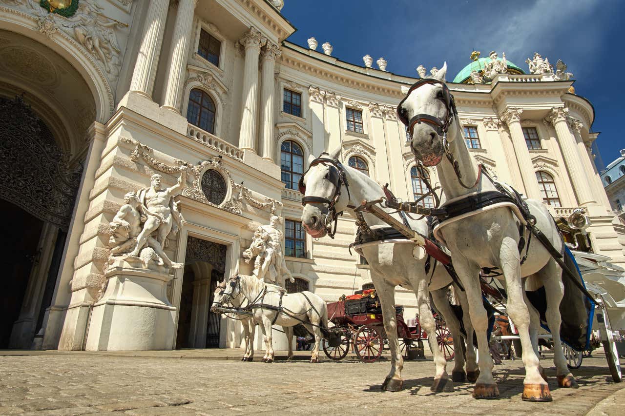 Varios caballos en diferentes carruajes frente a un palacio de Viena