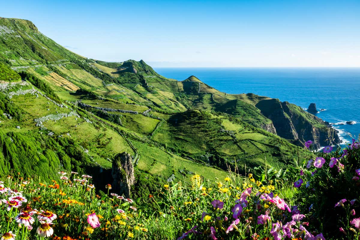 Paisaje de verdes montañas y flores de colores junto a unos acantilados en el borde del mar