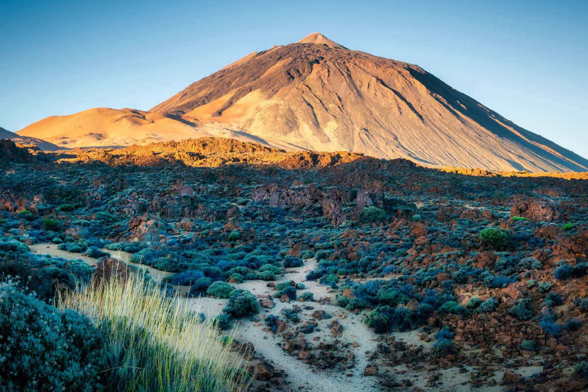 Panorámica del volcán del Teide en un día despejado en Tenerife y sin gente alrededor