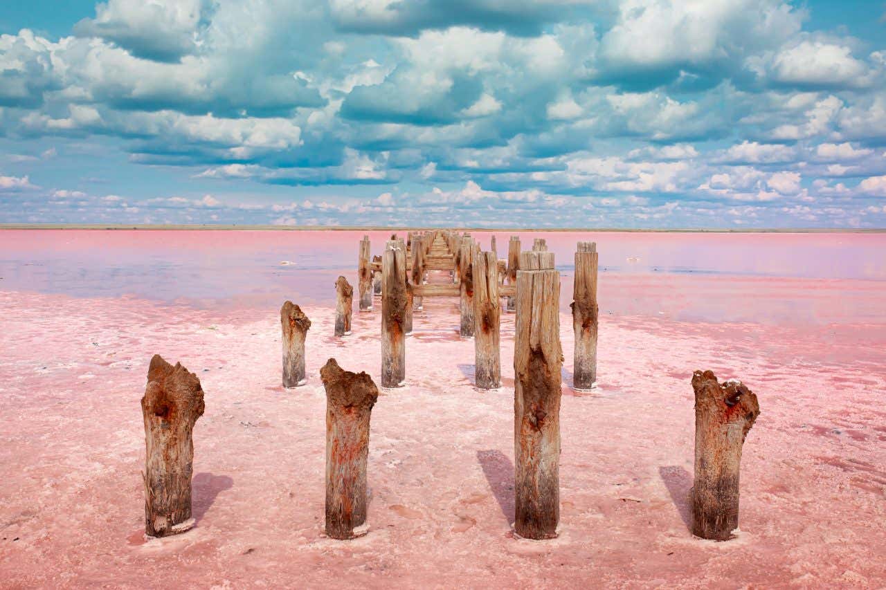 alcuni pali di legno emergono da un'acqua dall'intenso colore rosa. Il cielo è coperto da soffici nuvole bianche da cui filtra molta luce