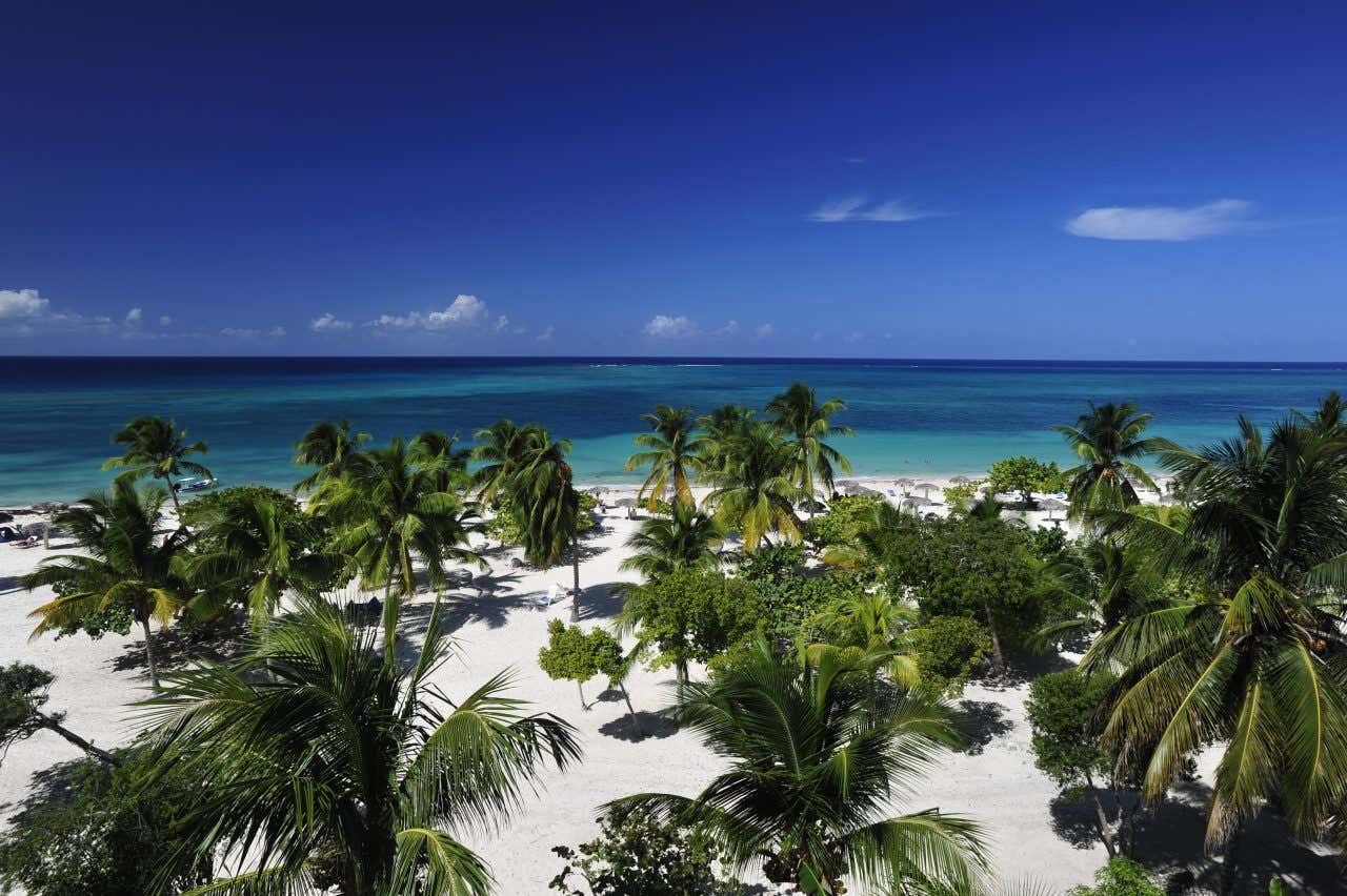 Plage de Guardalavaca et ses palmiers près de la ville de Holguín, à Cuba