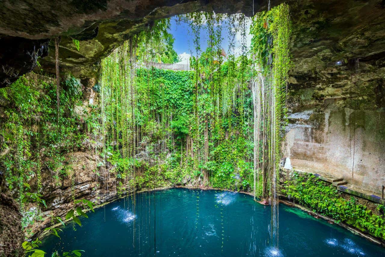 Um cenote mexicano debaixo da terra, com vegetação exuberante ao seu redor e o céu aparecendo através do céu