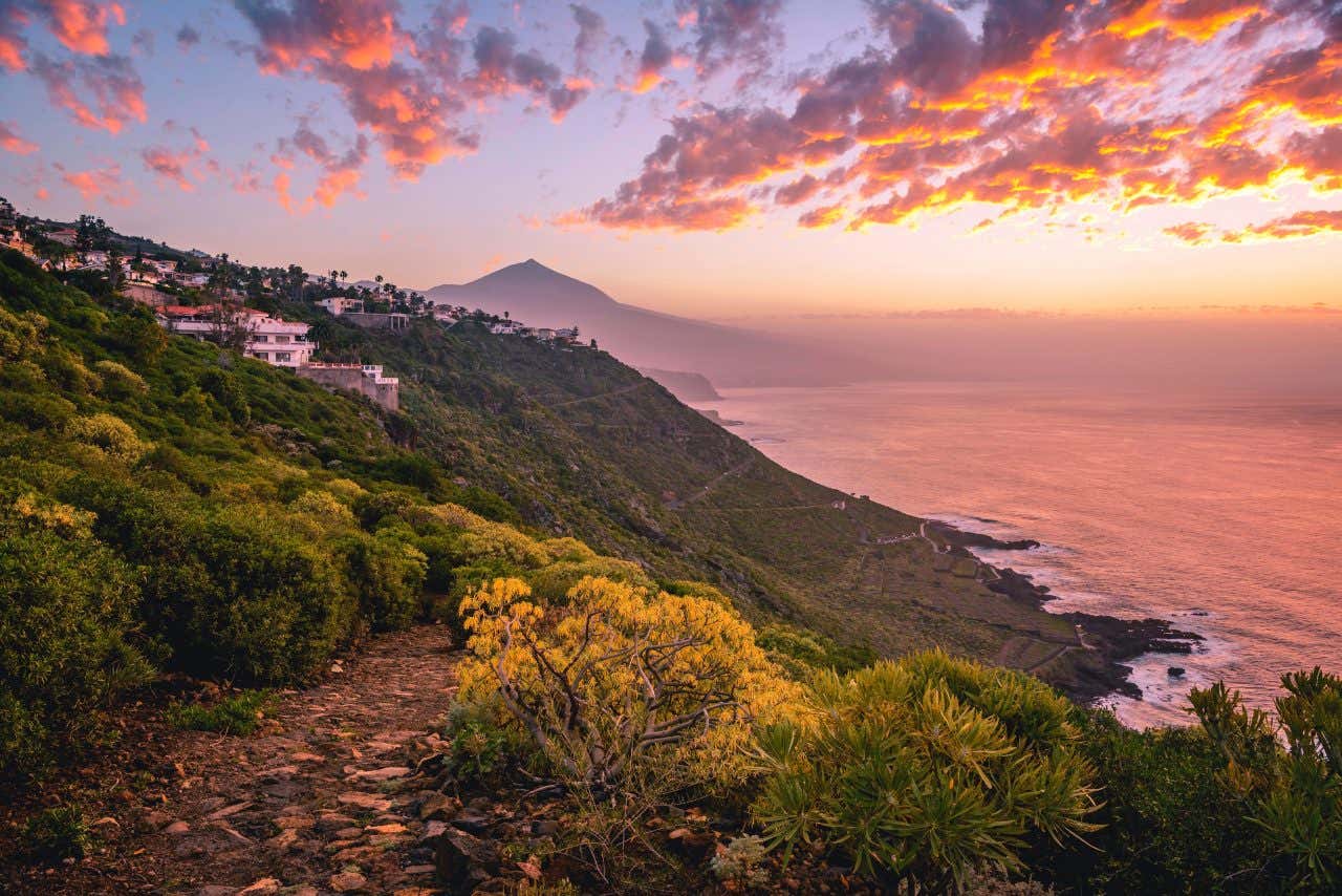 Una paesaggio costiero al tramonto, con il cielo che emana colori arancio e rosa. Sullo sfondo la sagoma del vulcano Teide