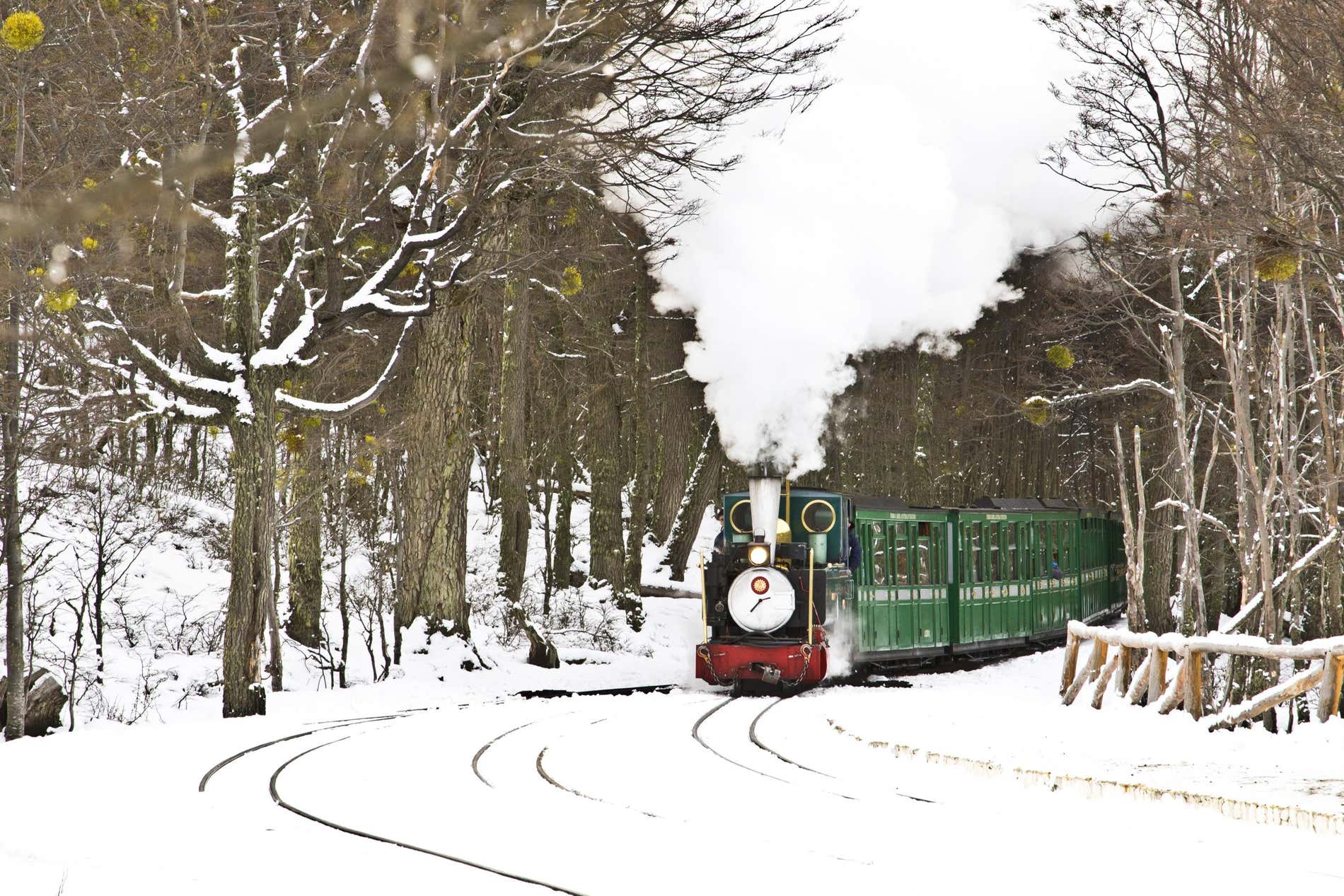 Una locomotiva di colore verde in viaggio fra paesaggi innevati