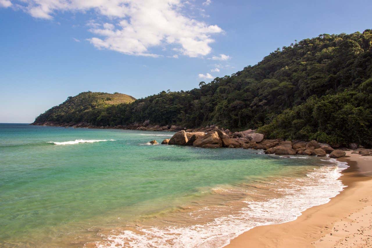 Panorâmica de uma praia com areia clara e água cristalina rodeada de vegetação