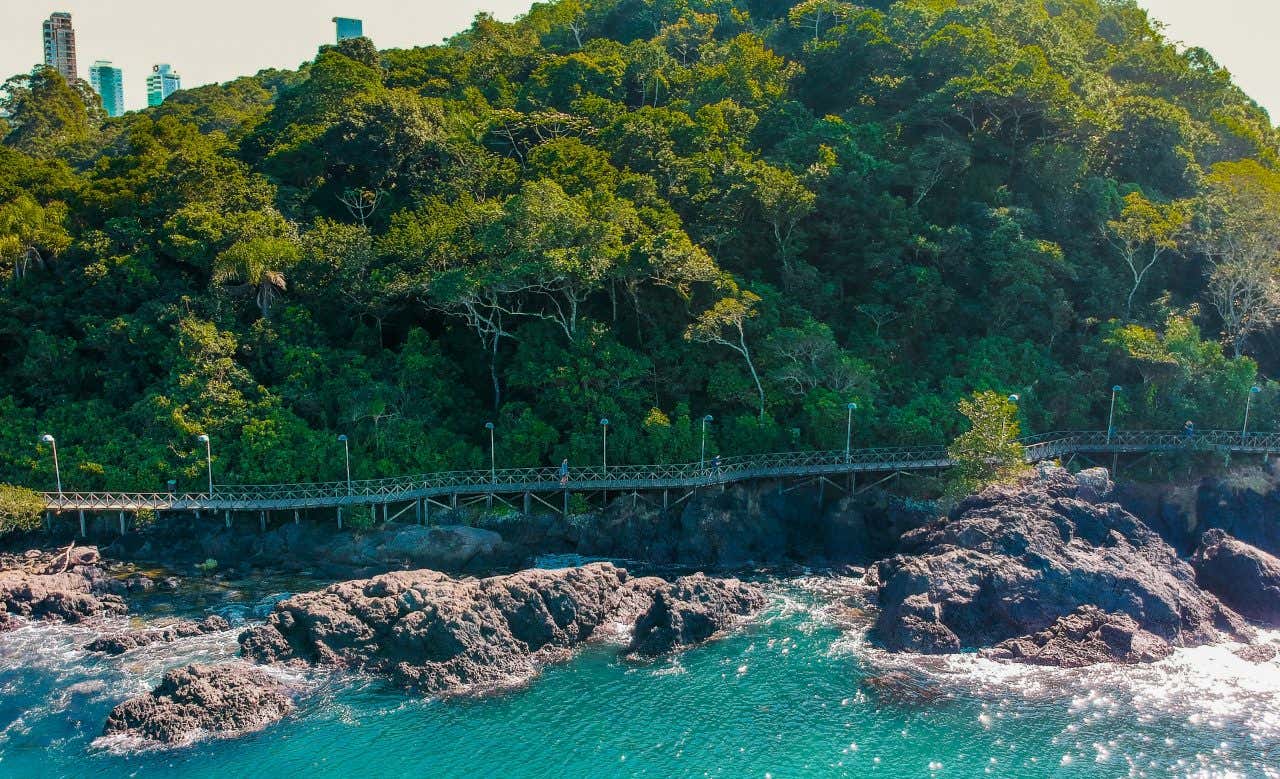 Vista aérea do Deck do Pontal Norte rodeado pelo oceano e pela MAta Atlântica