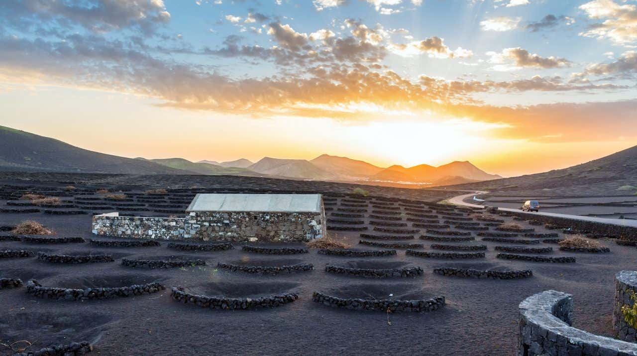 Coucher de soleil sur un vignoble de la Geria, à Lanzarote, une destination où partir en janvier