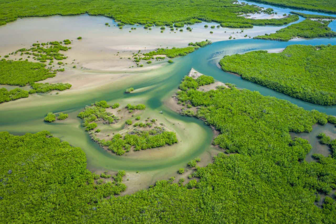 Vue aérienne sur le delta du Saloum, au Sénégal, un pays à visiter et où partir en janvier