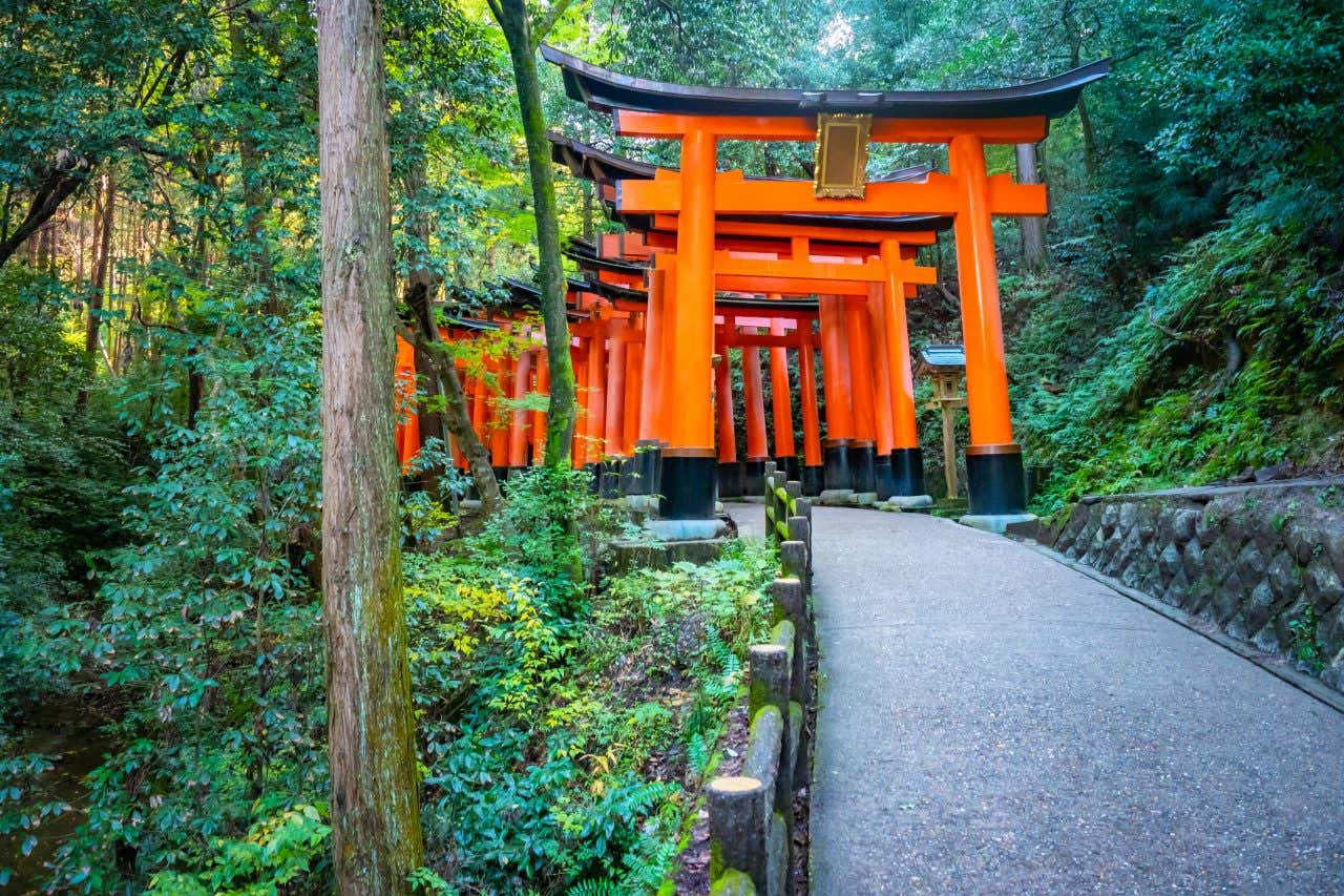 Torii Gates along a path in Fushimi Inari.