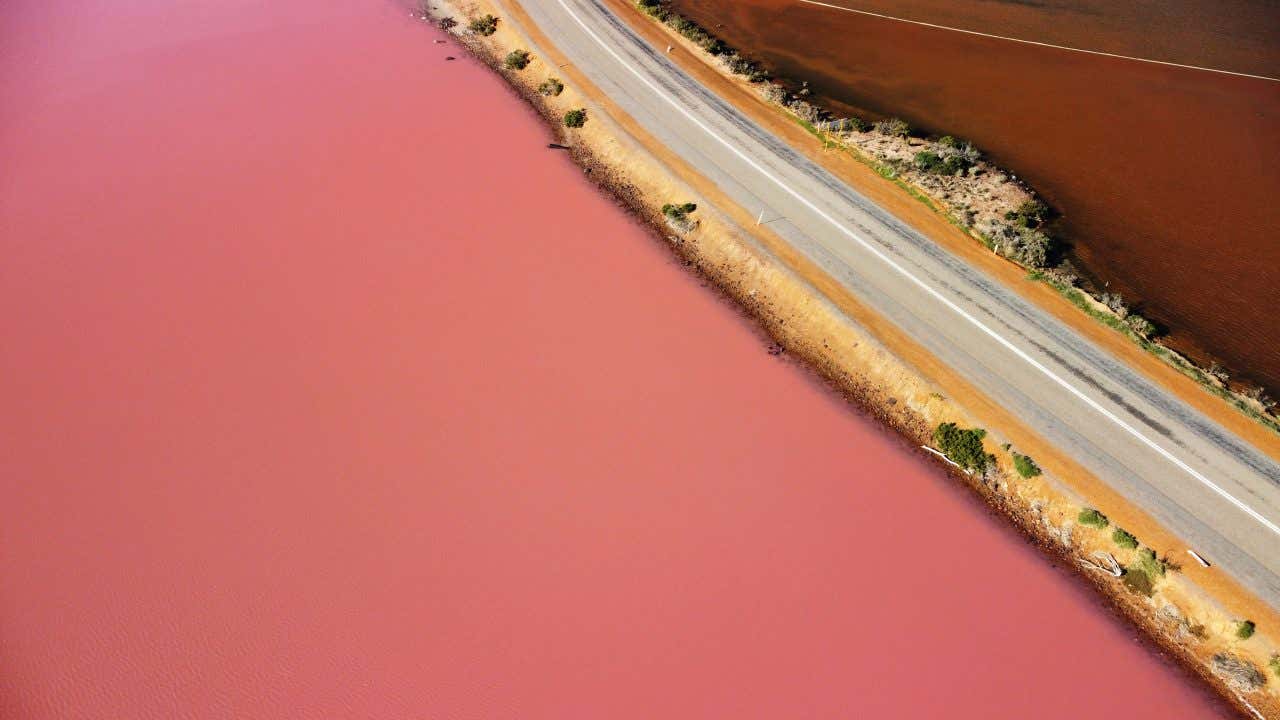 A Pink Lagoon, Las Coloradas Natural Park, as seen from above, with a road running alongside it.