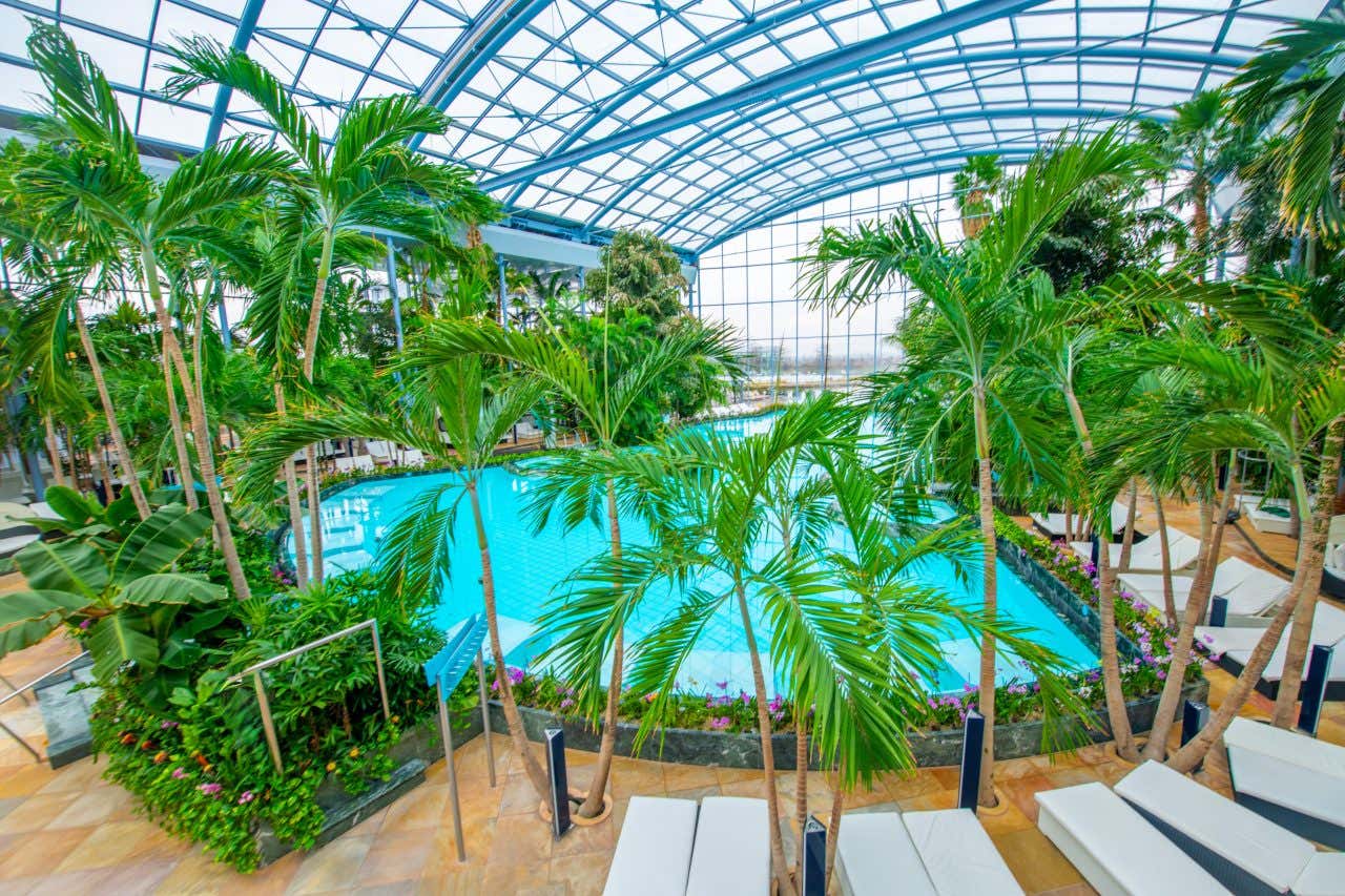 Una grande piscina circondata da una grande struttura fatta di vetrate e assi in metallo e da alberi di palma