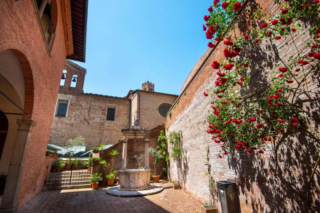 Un piccolo pozzo in pietra bianca al centro di un cortile in mattoni adornato da un roseto rampicante e vasi di piante in una giorno di sole