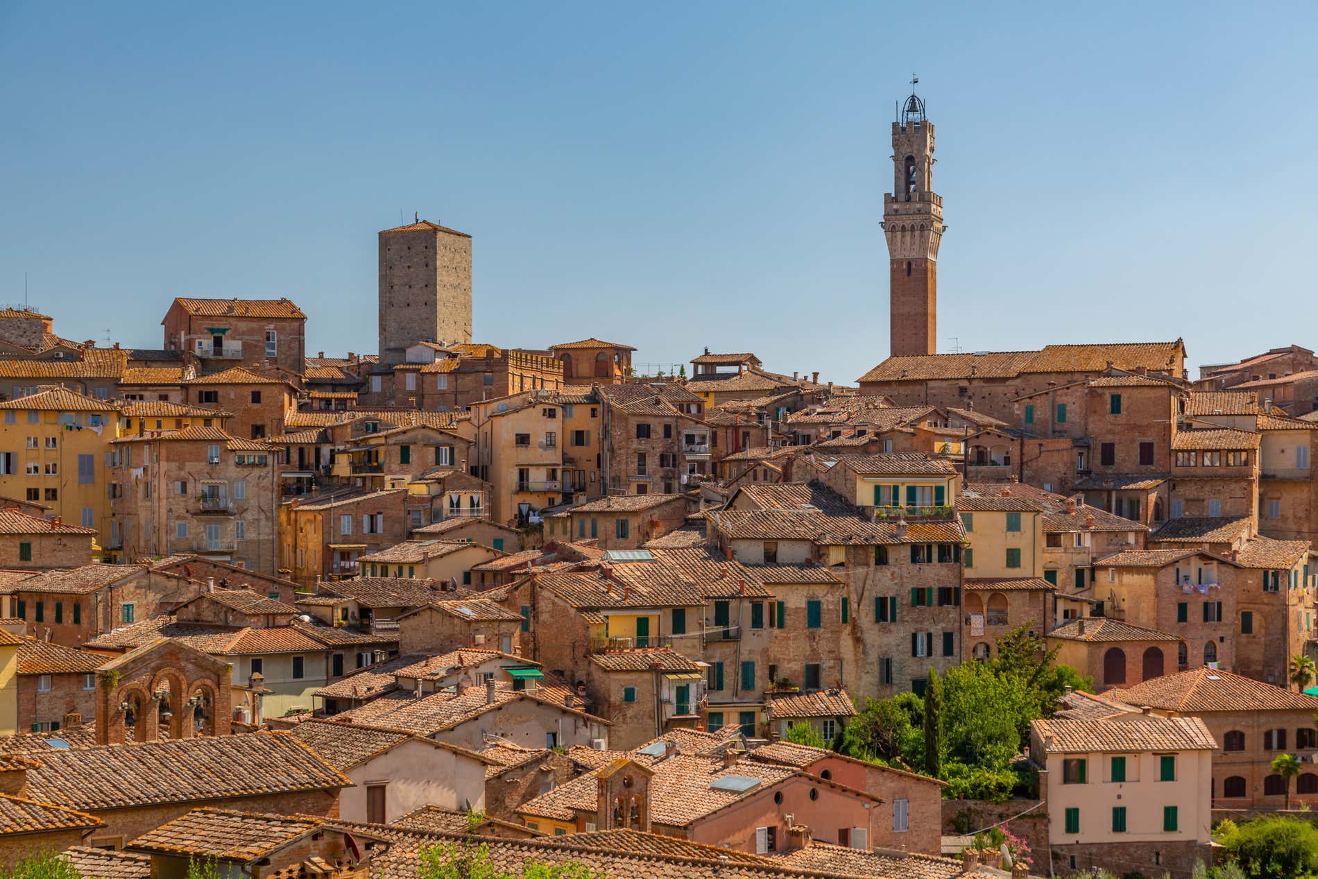 Vista dei tetti e dei campanili di Siena in una giornata di sole senza nuvole