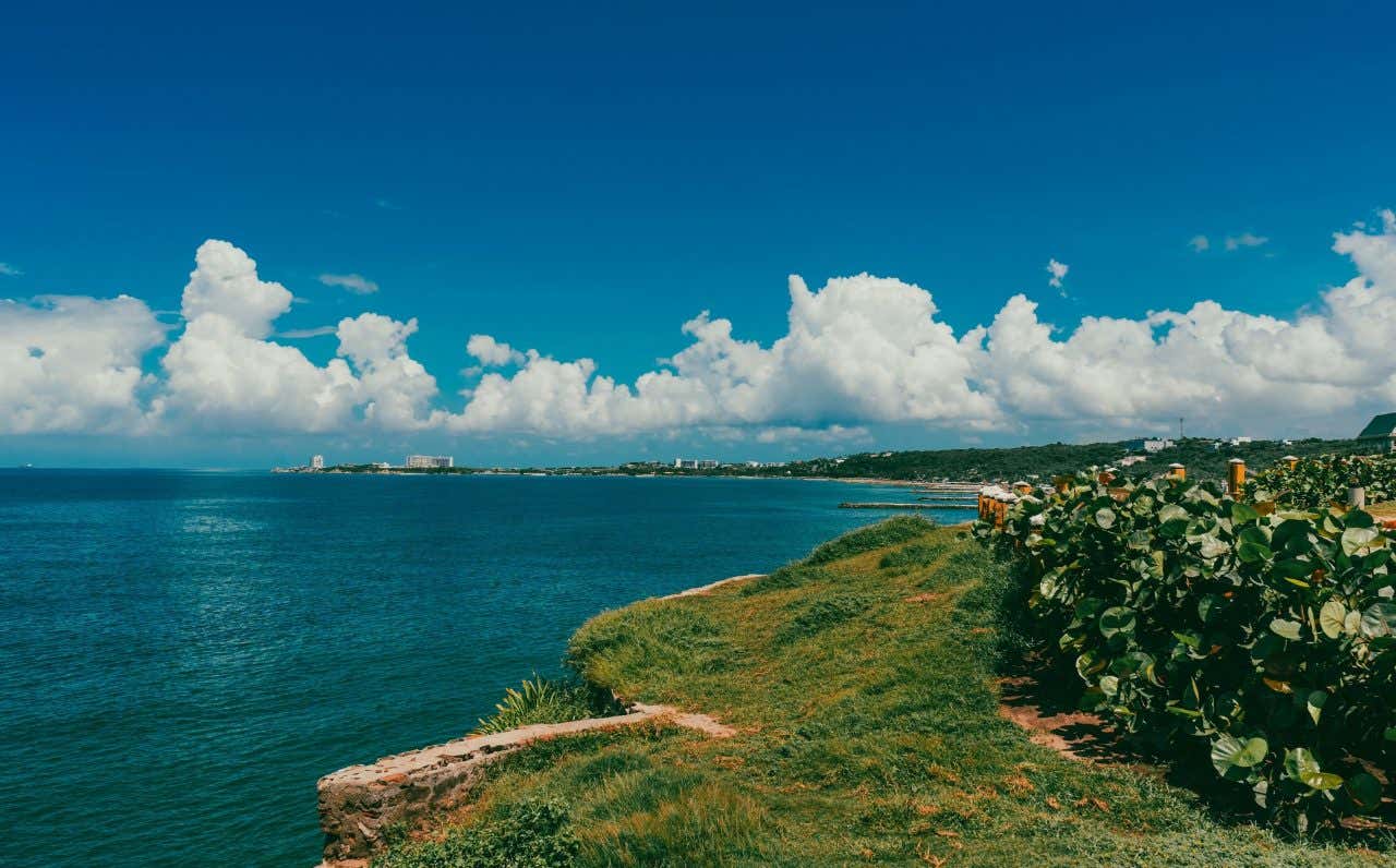 Panorâmica do oceano azul-esverdeado em um dia claro cercado de vegetação