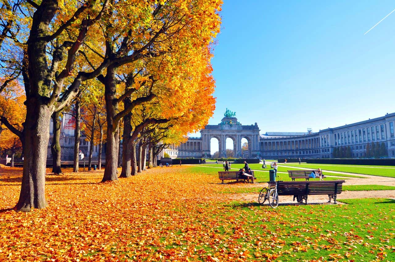 Arbres et feuilles mortes au sol, bancs et arc de triomphe en fond sous un ciel bleu