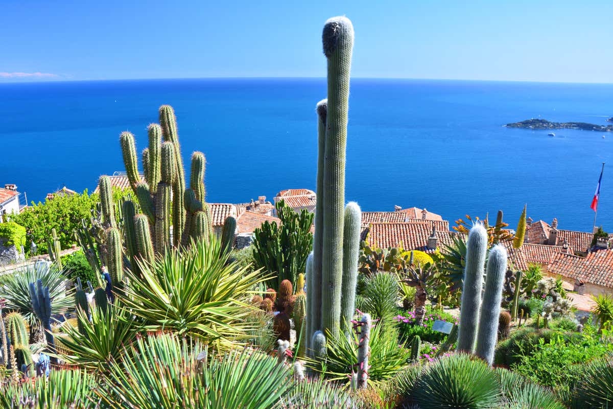 Cactus con el mar de fondo en el Jardin Exotique, un espacio botánico situado en Èze, a las afueras de Niza