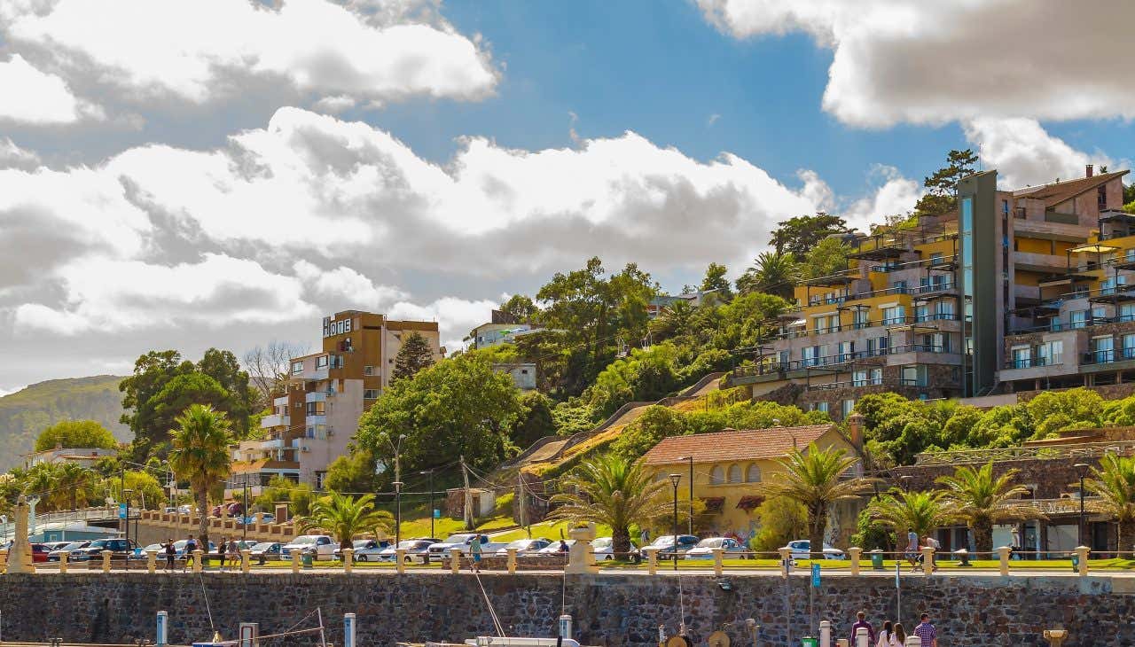 Panorâmica do porto de Piriápolis com casas na encosta rodeadas de vegetação em um dia ensolarado