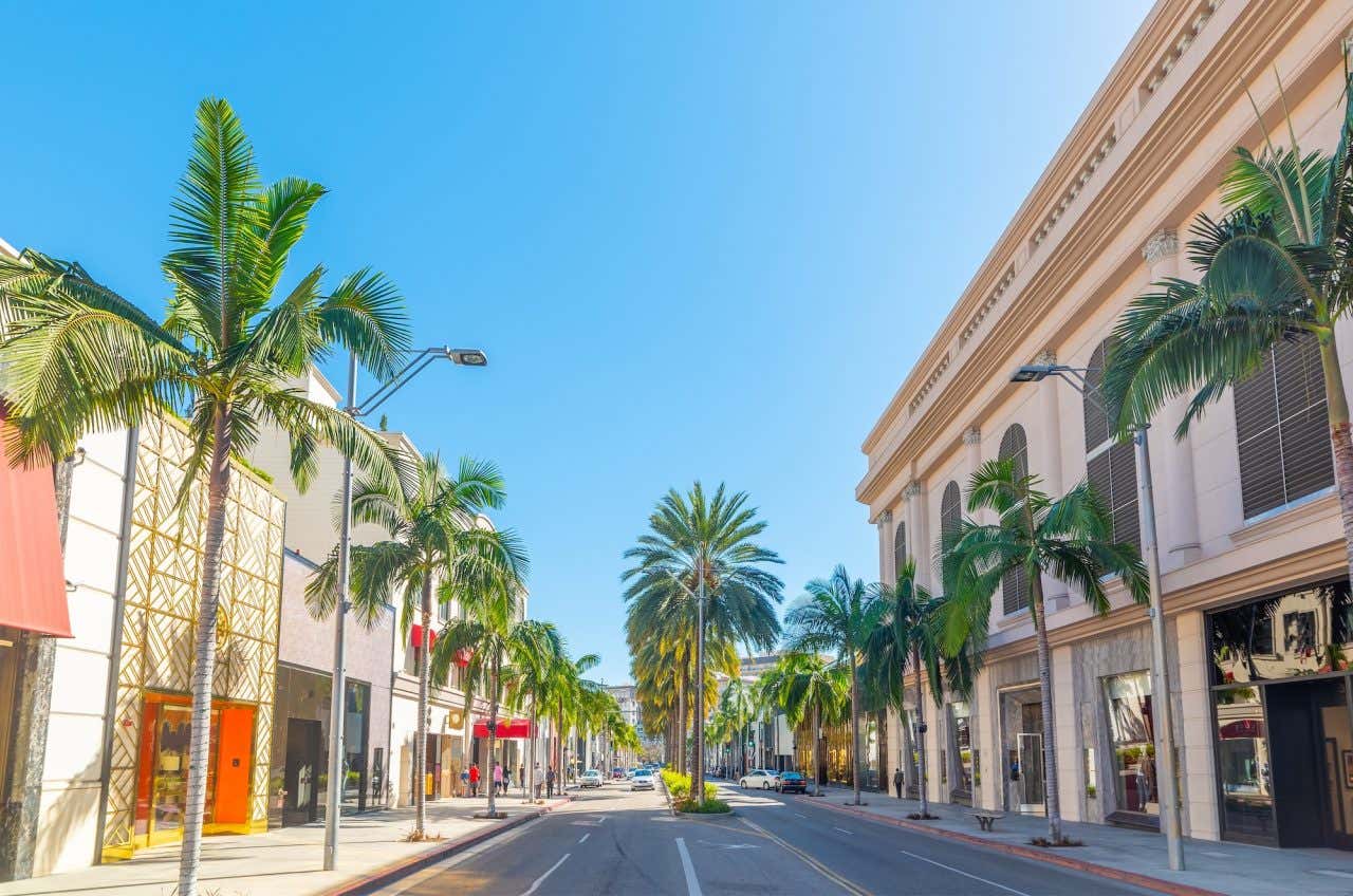 A street flanked with palm trees and luxury brand shops