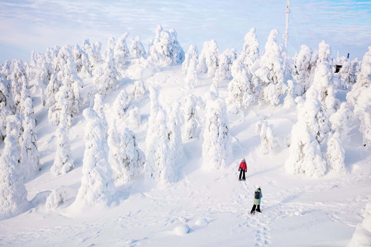 Randonneurs en raquettes dans une forêt enneigée de Laponie, une destination idéale où passer la journée mondiale de la neige et enrichir ce dimanche 19 janvier 2025