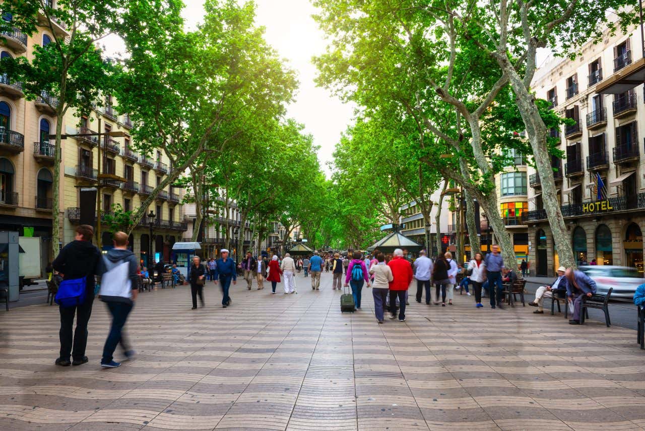 Diverse persone passeggiano tranquillamente per una strada alberata e tranquilla del centro di Barcellona