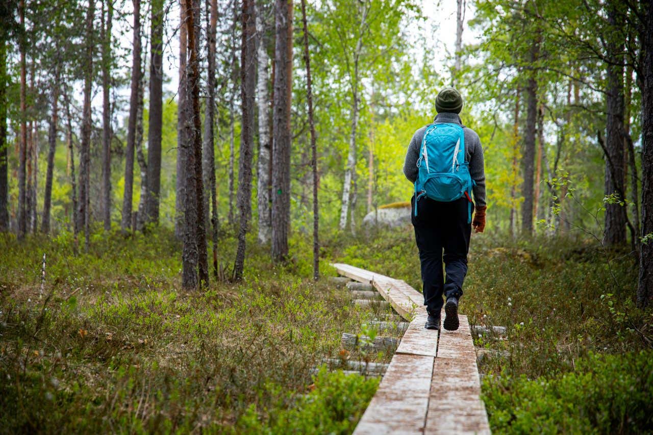 Una persona in abiti tecnici cammina lungo una passerella di legno che attraversa un bosco verdeggiante della Finlandia