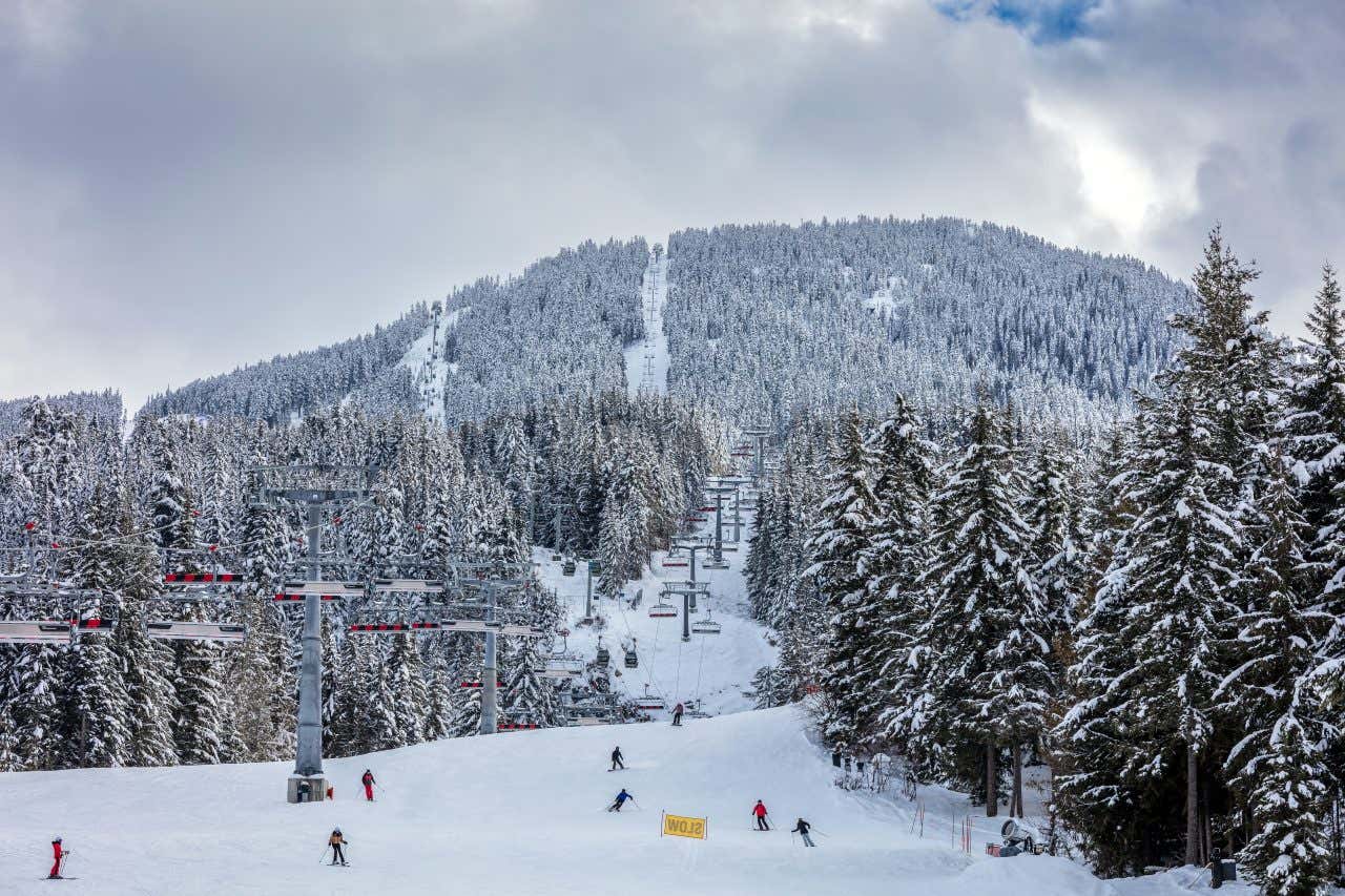 Panoramic view looking up a hill covered in evergreen trees, also covered in snow, a ski lift going up the mountain at Whistler, Blackcomb.