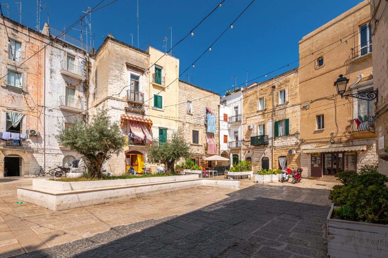 Una piazza cittadina con piante di ulivo, palazzi bassi e negozi al primo piano in un giorno di sole senza nuvole